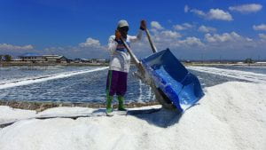 salt worker at industrial production site in Madura